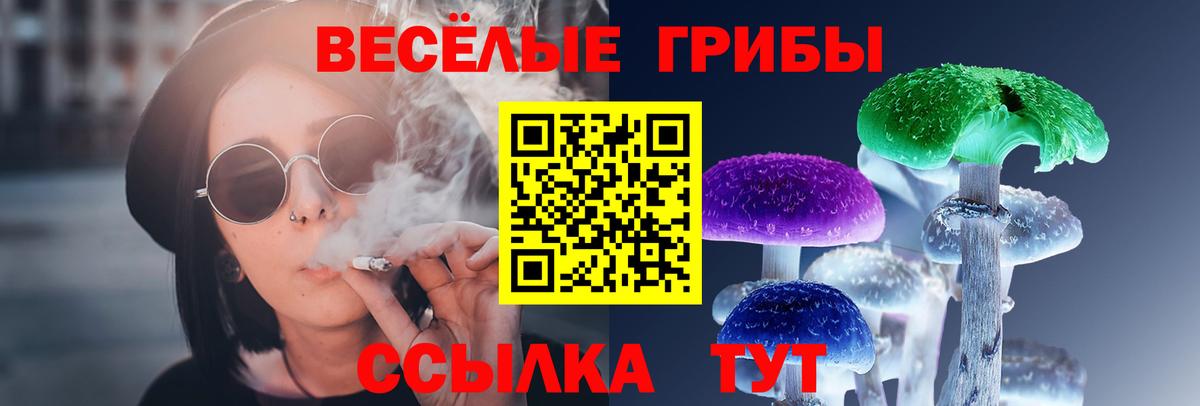 Псилоцибиновые грибы Psilocybine cubensis Советский